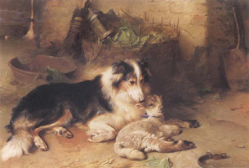  The Shepherd-s Pet